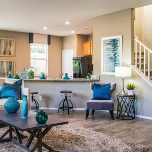 clean-home-setting